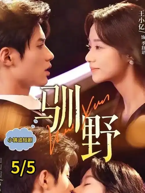 神马影院在线 都市轻喜剧 合租日记
